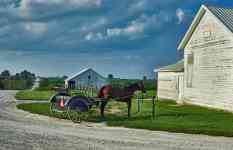 Marion: transportation, amish, horse and buggy